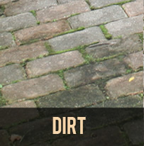 paver protector dirt