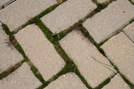 How To Prevent Weed Growth on a Brick Paver Patio or Driveway 1