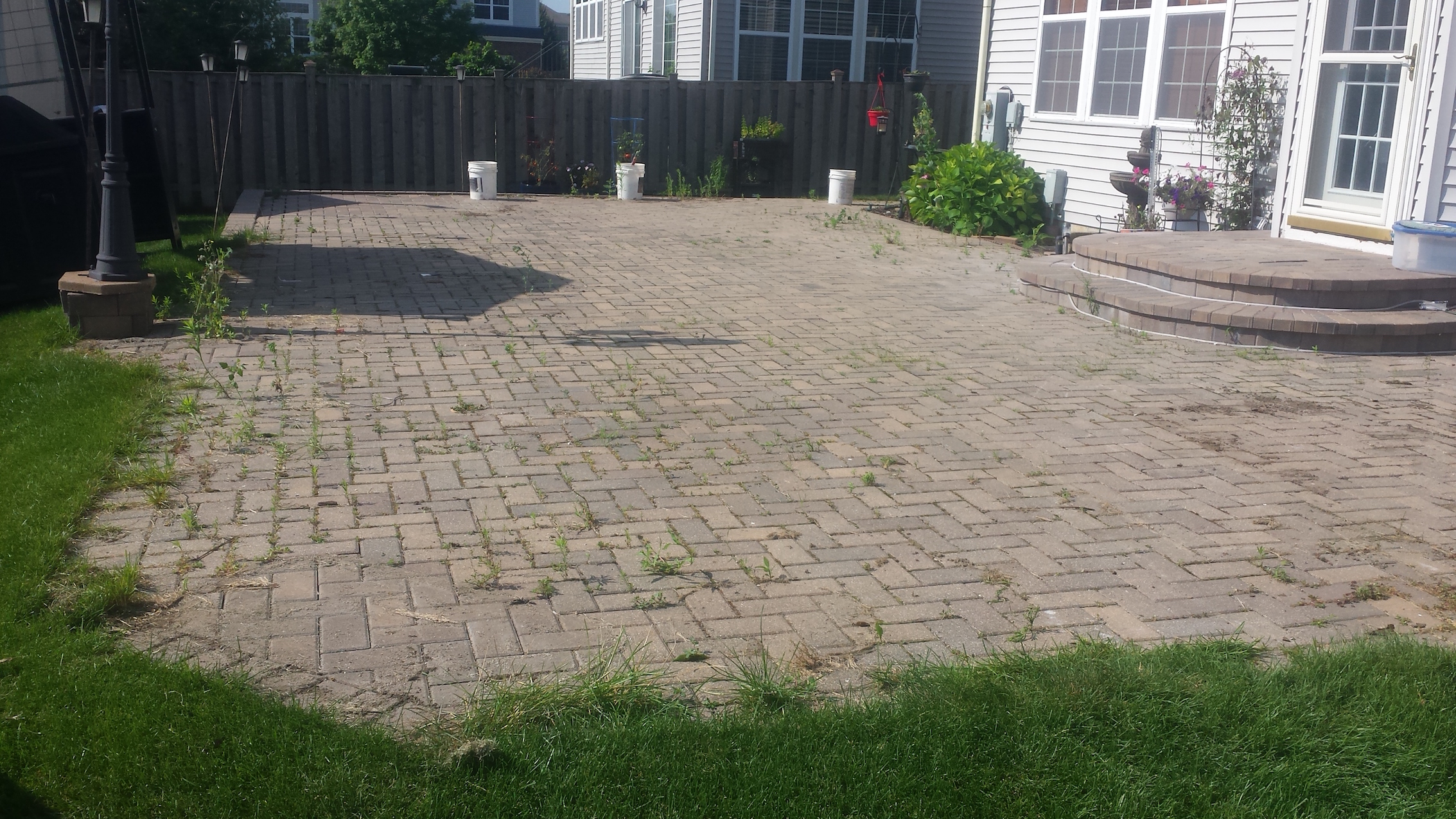Before and after clean sand seal weed removal by Paver Protector